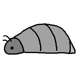 zazaruo